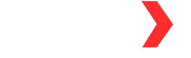 CMEX — China Motors Export